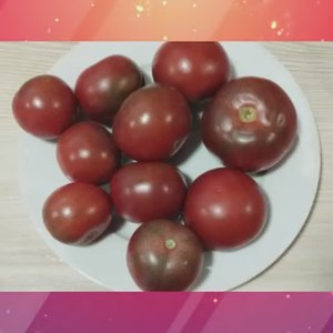 Томаты, устойчивые к фитофторе