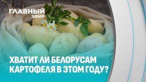 В Беларуси нет картошки! Так ли это? Узнали у аграриев. Главный эфир