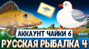 Rf4 мощные катушки отправили из чата, удилища, приманки и другое #рр4