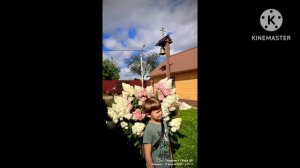 Першино, Церковь Владимирской иконы Божией матери. Август 2025.