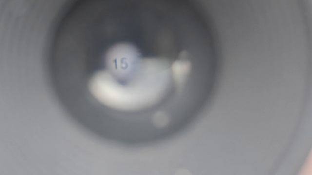 Сахаронакопление горошащегося винограда некоторых сортов.mp4