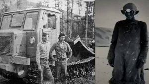 Невероятная история лесозаготовителя