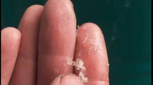 масло- соевое для пропитки древесины