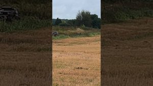 кубок горьковского автомобильного завода