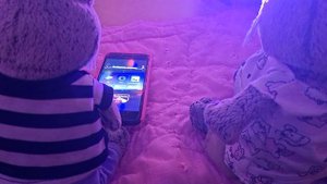 басики любят играть