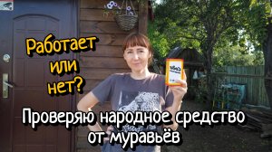 ДОЖДЬ ВСЁ ИСПОРТИЛ. СПАСАЮ КАПУСТУ. ПРОВЕРЯЮ НАРОДНОЕ СРЕДСТВО ОТ МУРАВЬЁВ.