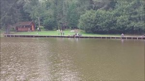 Дневные поимки карпа на поплавочную снасть. Клёвое место, Лосиный остров, верхний водоём.