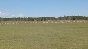 Кэтит-Күөл Арыылаах | Николай Артемьев