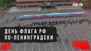 От Ивангорода до Бокситогорска: как в Ленобласти отметили День Государственного флага России