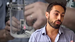 Ядовитые виды и места обитания