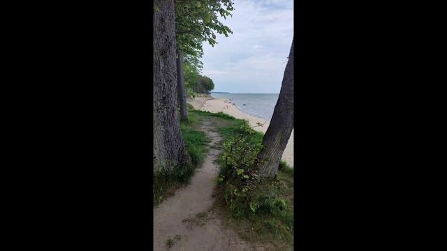 Балтика