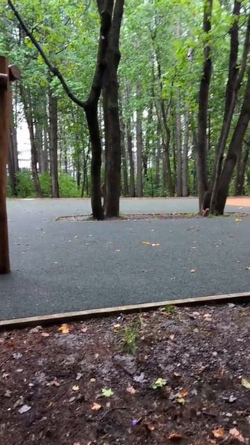 Встретились две белки