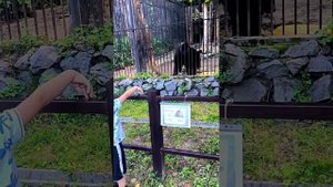 ОСТАП в Приамурском зоосаде им. В.П. Сысоева 2025