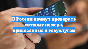 В России начнут проверять сотовые номера, привязанные к госуслугам