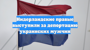 Нидерландские правые выступили за депортацию украинских мужчин