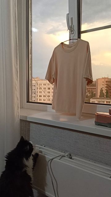 Киса и привидение!! смотреть онлайн