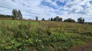 Едем в лес, грязь мокрота/ закручиваю яблочки и грибы