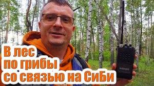 В лес по грибы со связью на СиБи