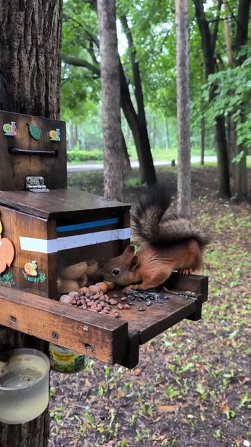 Завтрак подан