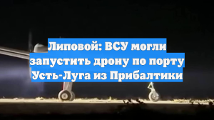 Липовой: ВСУ могли запустить дрону по порту Усть-Луга из Прибалтики