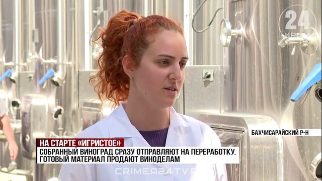 Сбор винограда стартовал в Бахчисарайском районе