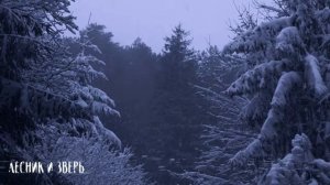 Лесник и зверь  Страшная история