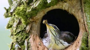 Завтрак, не выходя из дома