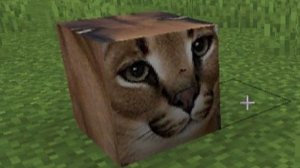 Построил шлёпу в маенкрафт