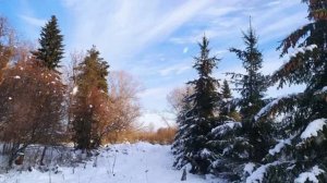 Ах ты, зимушка-зима_(Русская народная песня)