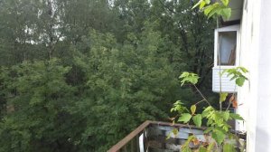 9648272, проспект Науки, д. 9