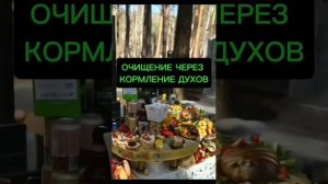 ТВОИ ДУХИ РОДА УМОЛЯЮТ ВКЛЮЧИТЬ