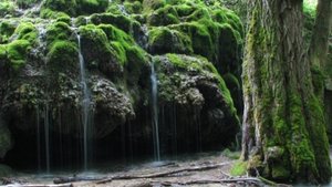 Ставрополь. Сказочный лес, Травертиновый водопад и родник.