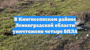 В Кингисеппском районе Ленинградской области уничтожено четыре БПЛА