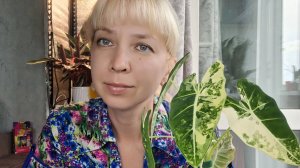 Реанимация алоказии Фрайдек
