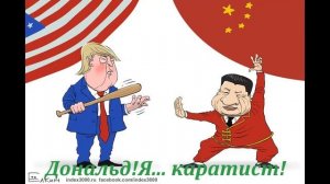 video (17) Фотоальбом №2