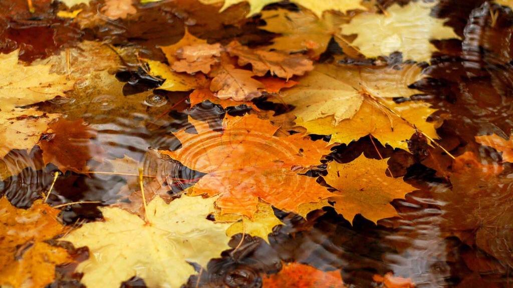 СЕНТЯБРЬ--СКОРПИОН(астро)