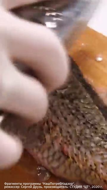 ТАЙНА ТЕРКИ #лайфхак #терка #удивительныефакты смотреть онлайн