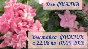 Выставка фиалок "В королевстве Сенполий - 2025" с 22.08 по01.09.2025г. в Доме Фиалки.