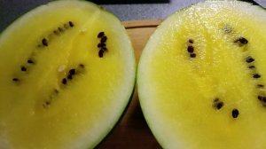 И снова арбуз оказался жёлтым