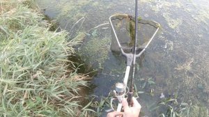 Обзор и рыбалка на спиннинг от GAMAKATSU AKILAS 80ML! Ловля щуки и окуня на спиннинг!