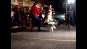 Собаки танцуют