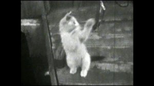 Как молоды мы были. Хроника 70-х годов ХХ века..