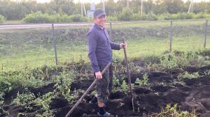 Едим к маме  собирать урожай!! Есть работа для меня!!,жизнь в селе