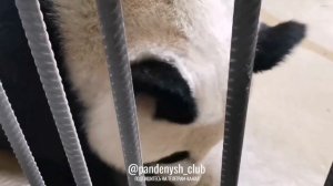 🐼 С днём рождения, любимая Катюша!