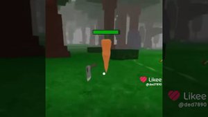 Дикие огурцы