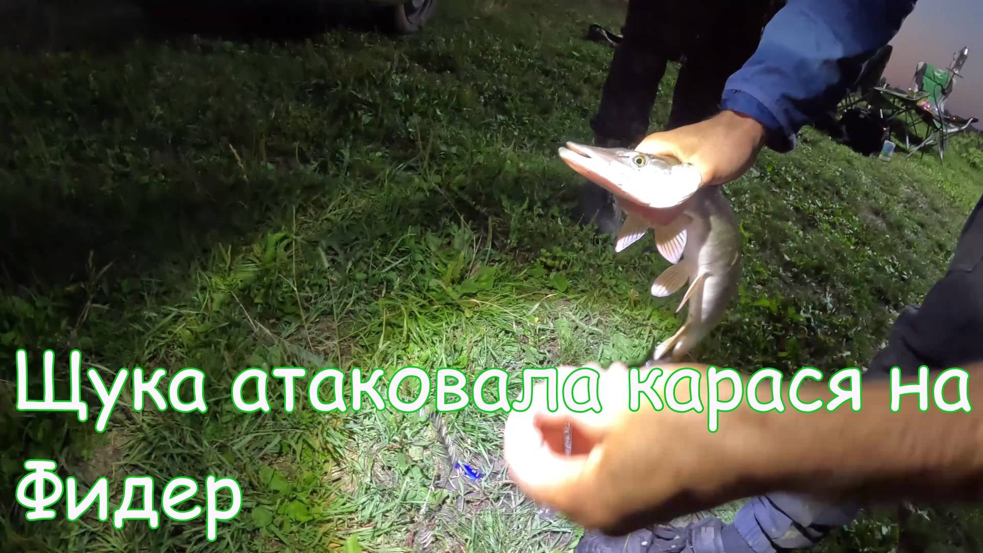 Щука атаковала Карася. Рыбалка с ночевкой. Часть 5