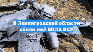 В Ленинградской области сбили ещё БПЛА ВСУ