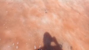 Хожу по розовому озеру Сасык-Сиваш