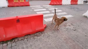 Инверсия отдыха в Крыму 2025