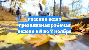 Россиян ждет трехдневная рабочая неделя с 5 по 7 ноября